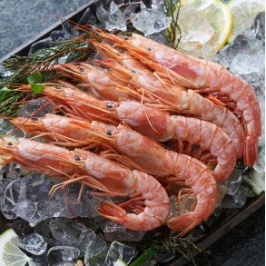 Argentinske rdrejer 10 / 20 