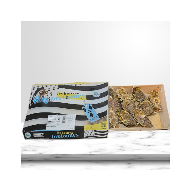 �sters - Bretagne 