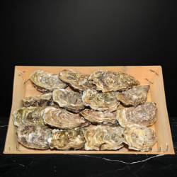 �sters - Normandie 