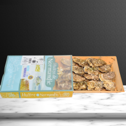 �sters - Normandie 