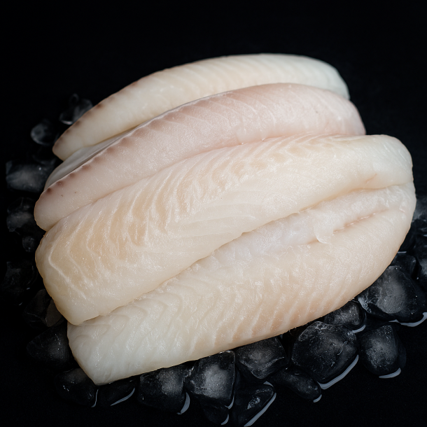 Torskeloins (opdrttet)