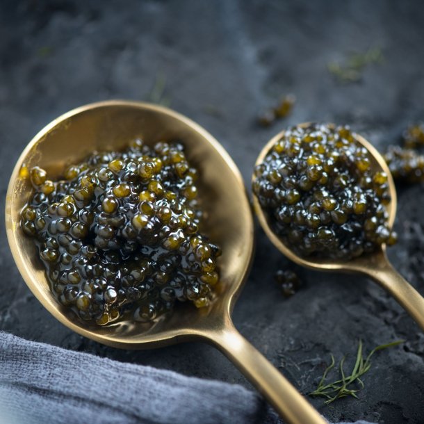 CAYOSA - Osietra Caviar