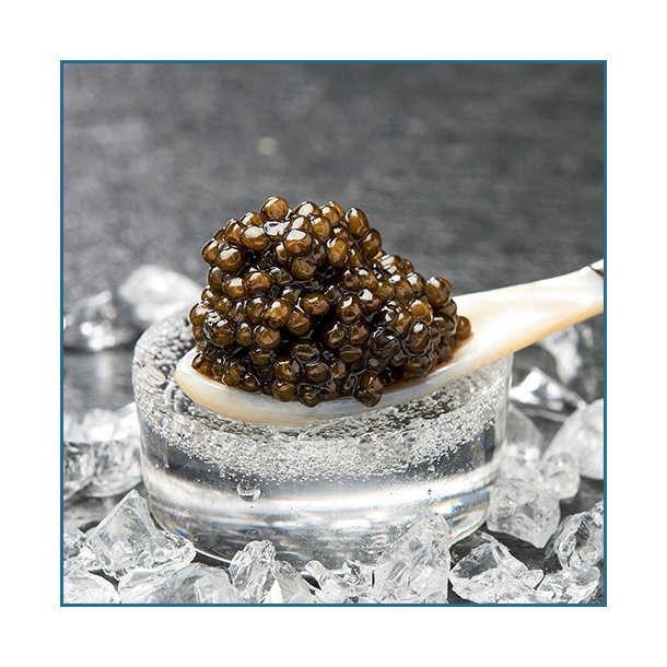 CAYOSA - Osietra Caviar