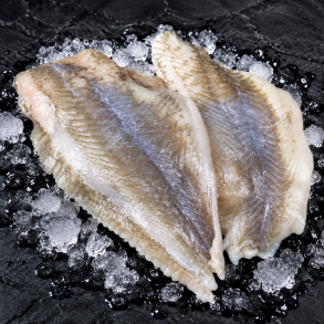 R�dsp�ttefilet ( Mellem )