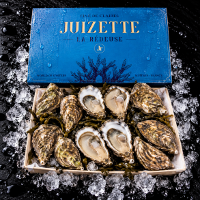 �sters - Fine Juizette