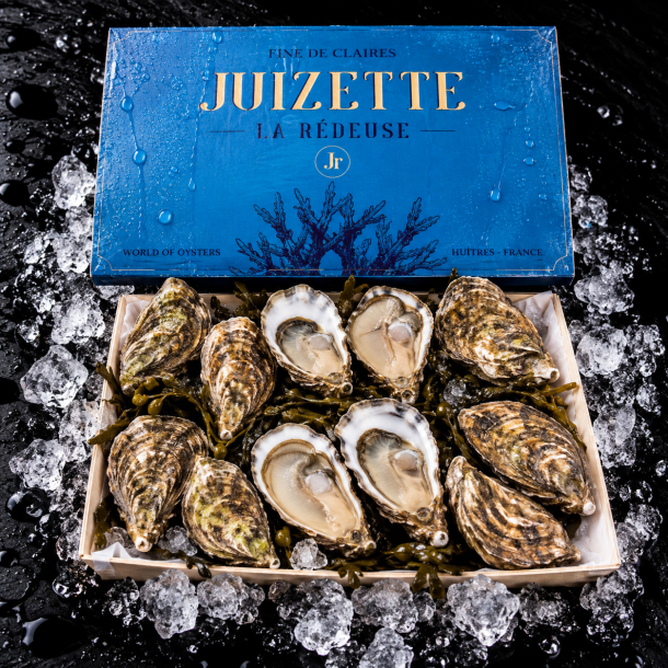 �sters - Fine Juizette