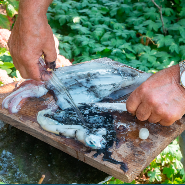 Blksprutter ( Mellem )