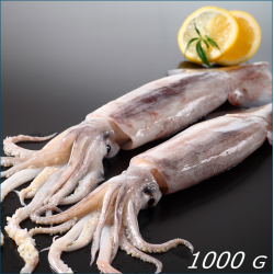 Blæksprutter ( Mellem )