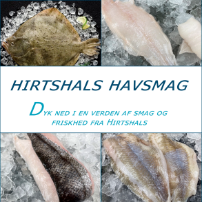 Hirtshals Havsmag
