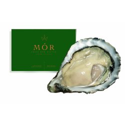 Østers - Irish Mor
