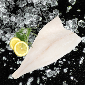 Torskefilet (opdrttet)