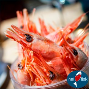 Skogte rejer ( 1000 g )