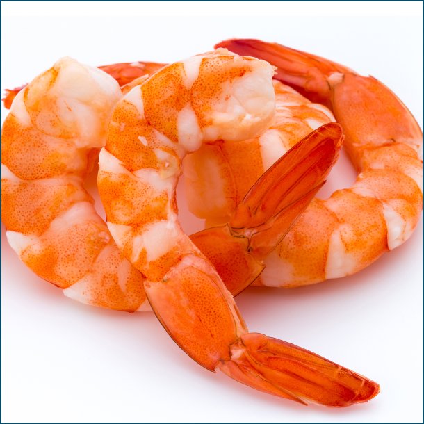 Argentinske rejer pillede