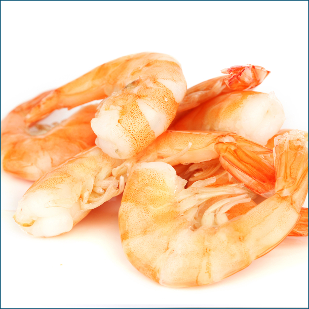 Argentinske Rejer M. skal 