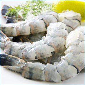 Black Tiger Rejer ( 8 - 12 )