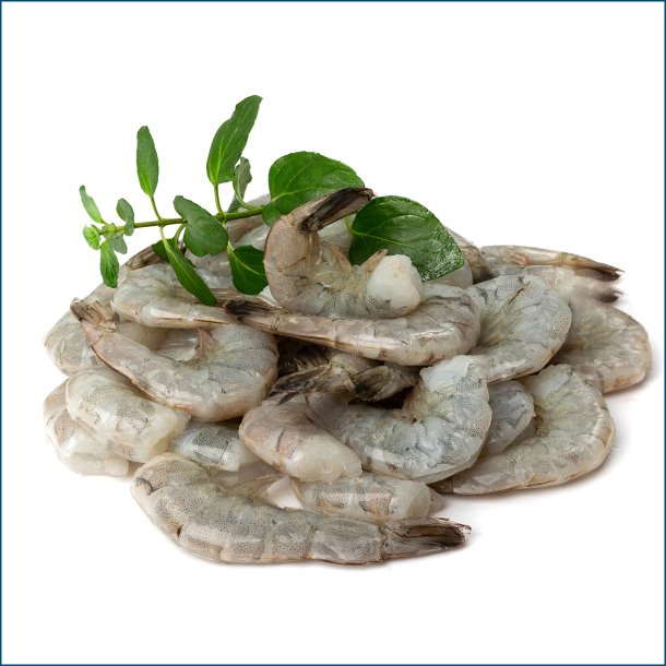 Black Tiger Rejer Pillede