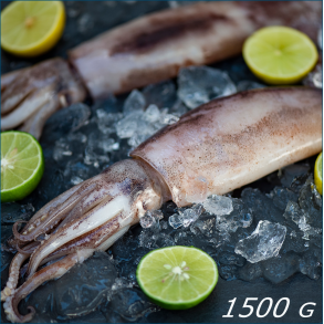 Blksprutter ( Store )