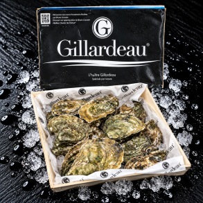 �sters - Gillardeau