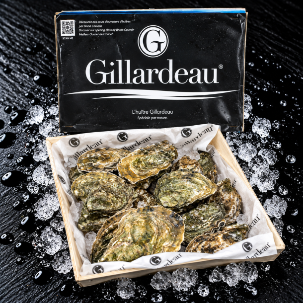 �sters - Gillardeau