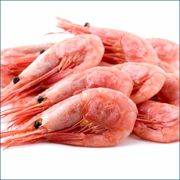 Skogte rejer ( 1000 g )