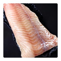 Lyssejfilet
