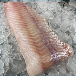 Lyssejfilet