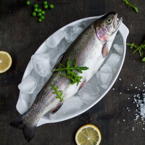 Forel